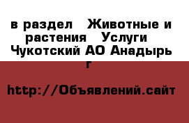  в раздел : Животные и растения » Услуги . Чукотский АО,Анадырь г.